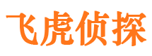 山城市侦探调查公司